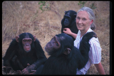 JAneGoodall00.jpg