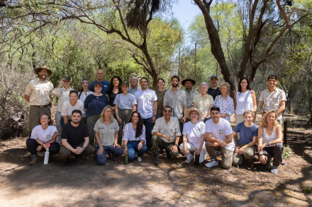 Liberación de Acaí © Rewilding Argentina .jpg