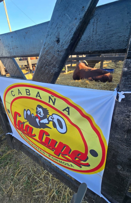 rural2.jpg