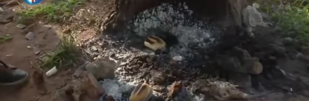 asado chaqueño.JPG
