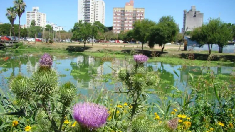 Días soleados, temperaturas en ascenso y posibles lluvias hacia el miércoles