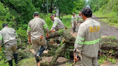 El gobierno desplegó ayuda urgente a comunas afectadas por el temporal