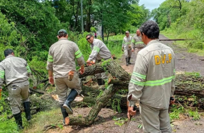 El gobierno desplegó ayuda urgente a comunas afectadas por el temporal