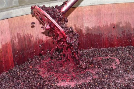 vino.jpg