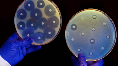 La resistencia a los antibióticos, una amenaza creciente
