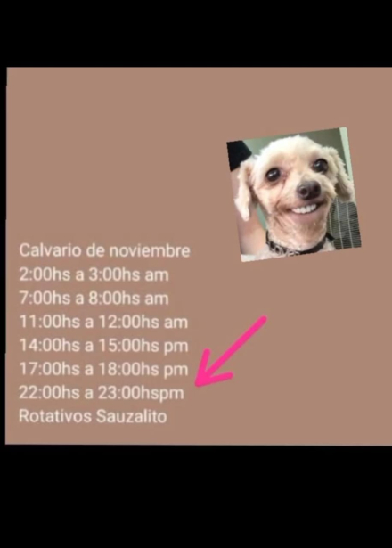 WhatsApp Image 2025-12-05 at 08.55.06.jpeg