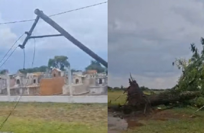 Fuerte temporal derribó postes y árboles en Presidencia de la Plaza