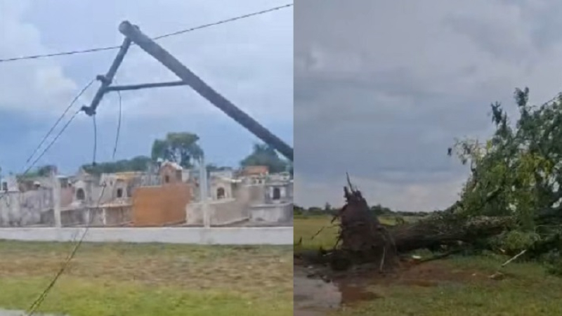 Fuerte temporal derribó postes y árboles en Presidencia de la Plaza