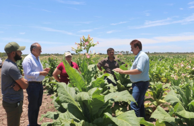 Dudik destacó el buen presente de la producción tabacalera