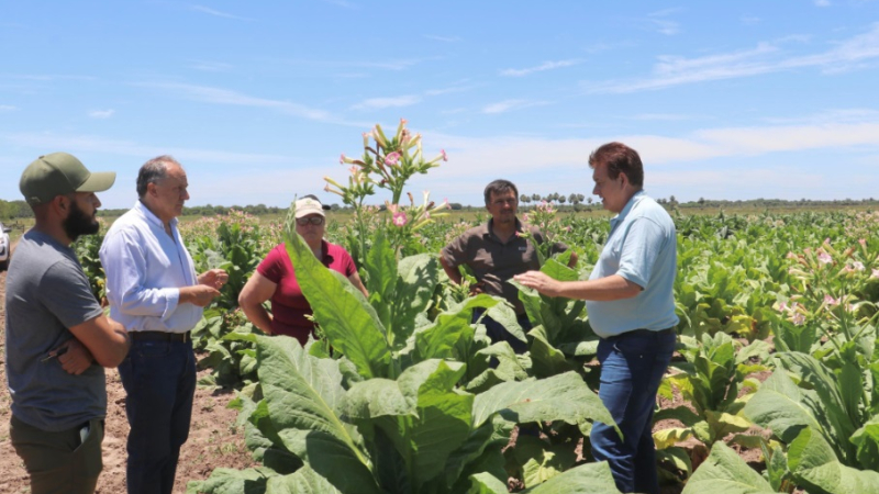Dudik destacó el buen presente de la producción tabacalera