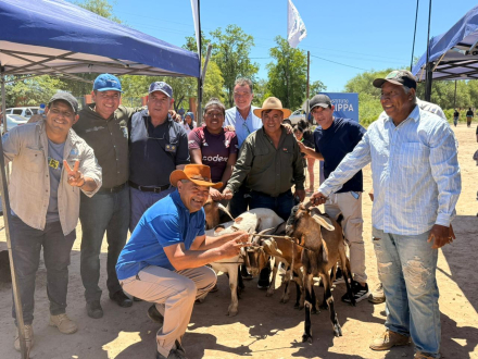 El PAIPPA entregó reproductores caprinos a productores paipperos del oeste formoseño.jpg
