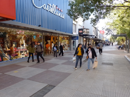 peatonal .JPG