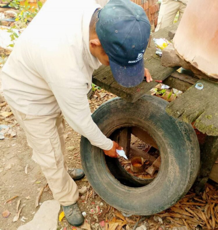 Dengue recomiendan intensificar el descacharrizado durante y después de los días de lluvia (1).jpeg