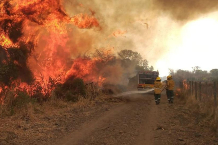 incendios.jpg