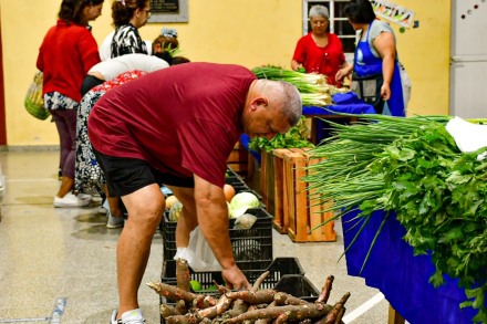 Feria paippa -5.jpg
