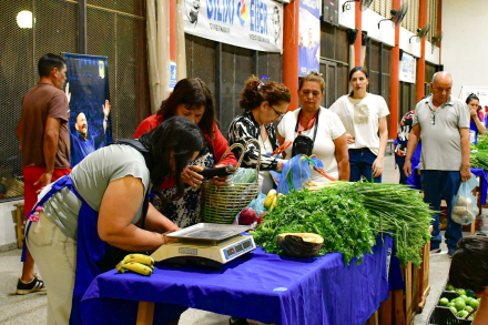 Feria paippa-4.jpg