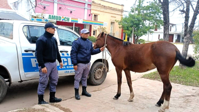 Conmoción y dolor en Quitilipi por la muerte de una joven que colisionó contra un caballo