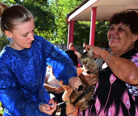 esterilizacion.jpg