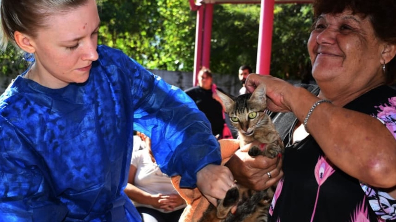 Abre la campaña 2026 de castración gratuita de gatos