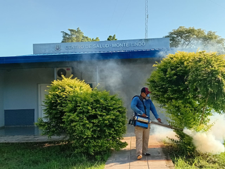 Dengue.jpg