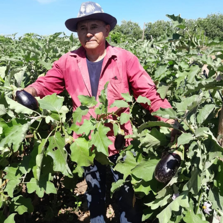 Productores paipperos (1).jpg