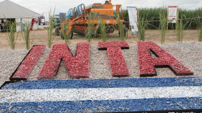 La motosierra de Milei arranca el año por el INTA, sigue con las becas del CONICET y va por más