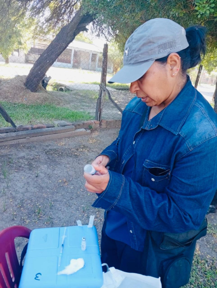 Salud en terreno recorrida casa por casa en el barrio Divino Niño (2).jpeg