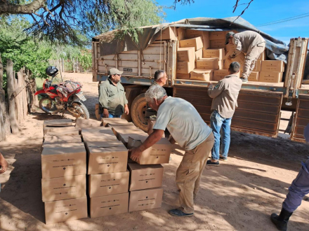 Entrega-de-cajas-alimentarias--(6).jpg