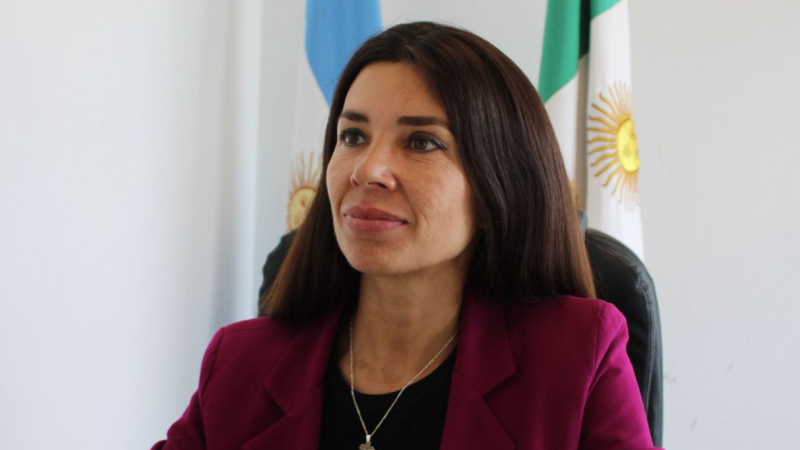 Proponen reformular el destino de los bonos de consolidación de deuda