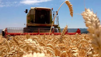 La economía cerró 2025 con un crecimiento promedio de 4,4 %