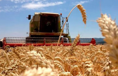 La economía cerró 2025 con un crecimiento promedio de 4,4 %