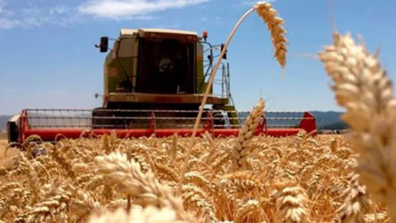 La economía cerró 2025 con un crecimiento promedio de 4,4 %