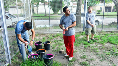 Personas con discapacidad y sus familias celebraron el cierre de las actividades de verano