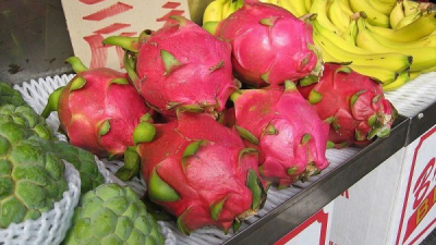 La fruta del dragón crece en la Argentina