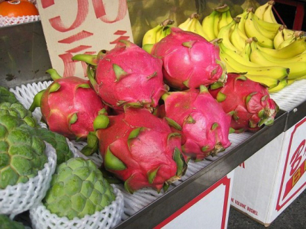 pitaya11.jpg