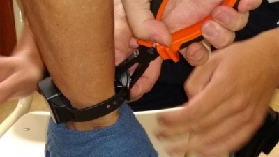 Resistencia: un hombre cortó su tobillera electrónica y se fugó