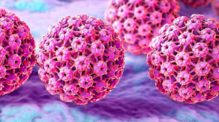 virus-vph.jpg