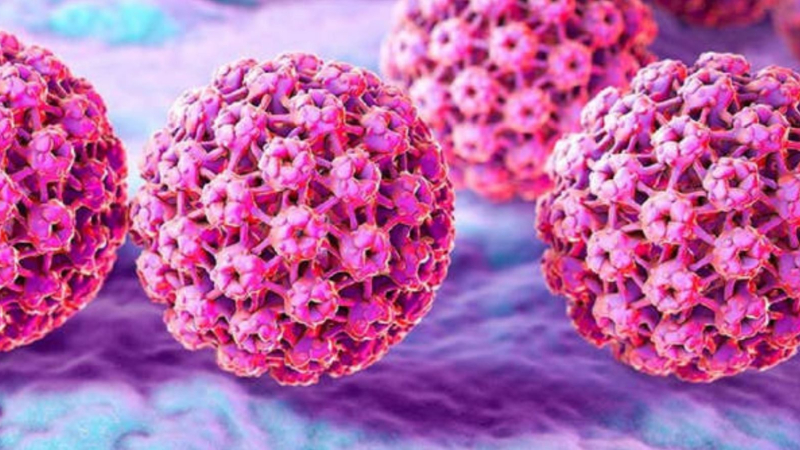 Charla sobre prevención del HPV