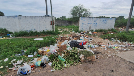 basura2.jpg