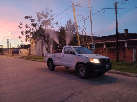 En Clorinda refuerzan la prevención contra el dengue ante la invasión de mosquitos causada por las lluvias y la crecida del río (6).jpeg