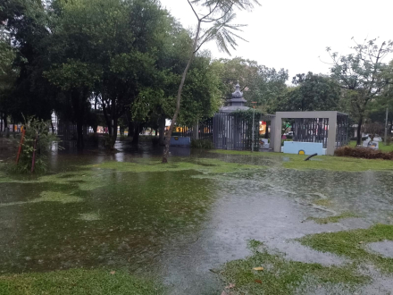 lluvia4