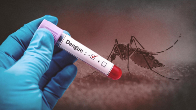 Sin casos de dengue en el Chaco: Salud fortalece la prevención en todo el territorio