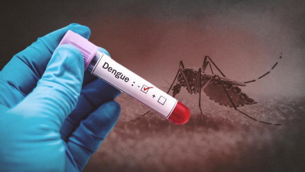 dengue3