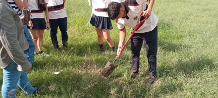 Plantaron arboles en la EPES N°31 (2).jpeg