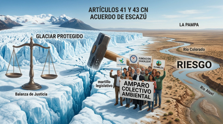 ambiental02.jpg