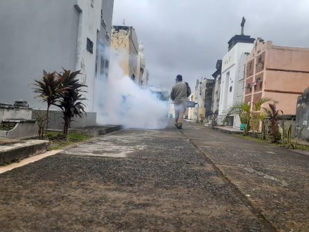 acciones dengue cementerio Virgen del Carmen (5).jpeg