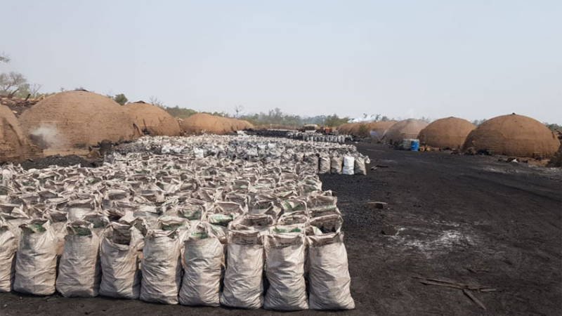 La crisis del sector forestal en el interior golpea fuerte