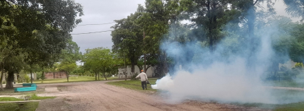 Trabajos dengue cementerio San Antonio.jpeg