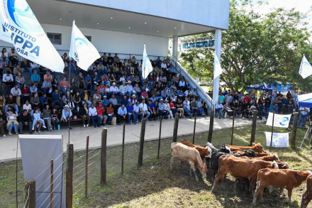 Remate en Laguna Blanca.jpg