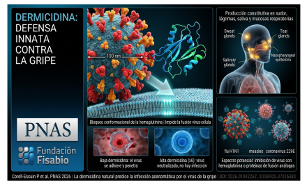 dermicidin2-info.jpg